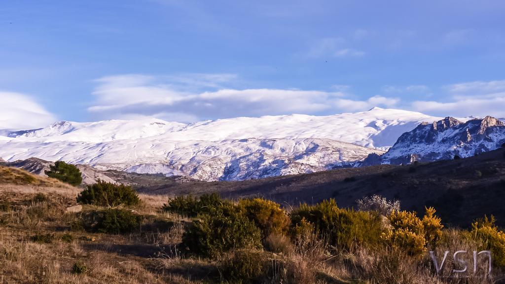 Green Peaks B&B Country House Alojamiento Rural Cortijo de Balsain Exteriér fotografie